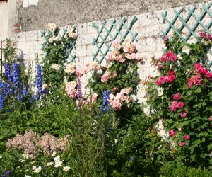 Jardin